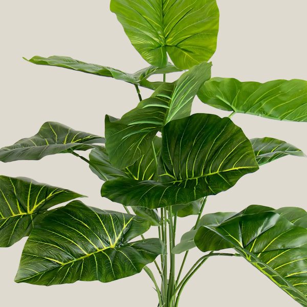 Matas Hoja Álamo Artificial Altura 60cm 20220 - Image 2