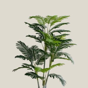 Planta Palmera  Altura 180cm 20310A