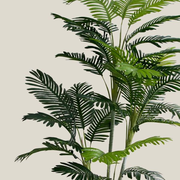 Planta Palmera  Altura 180cm 20310A - Image 2