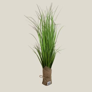 Mata Enea Altura 80cm 20307