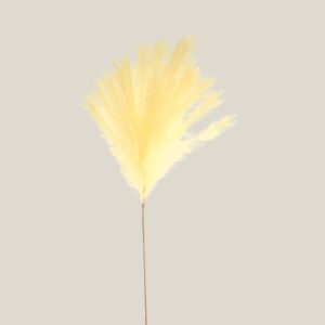 Vara Pampas Artificial Vainilla Altura 105cm 20403