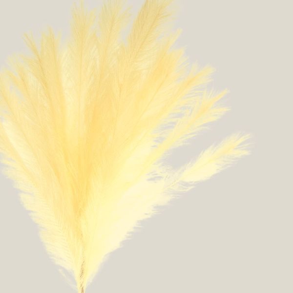 Vara Pampas Artificial Vainilla Altura 105cm 20403 - Image 3