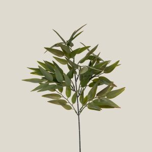 Hierba salvia Verde oliva 20603