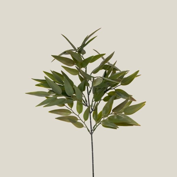 Hierba salvia Verde oliva 20603