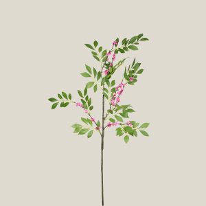 Follaje silvestre Rosa frances 20604