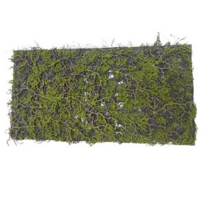 Grama musgo Verde musgo 20625