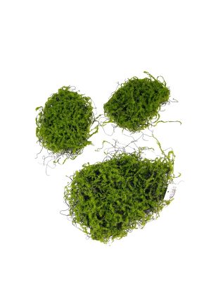 Musgo set x3 Verde musgo 20626
