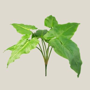 Mata hoja bedol Verde hoja 20623
