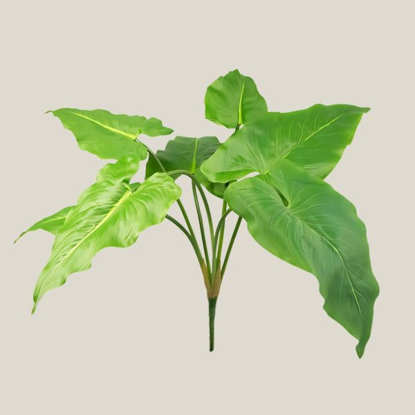 Mata hoja bedol Verde hoja 20623