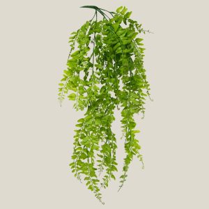 Mata mini helecho Verde helecho 20618