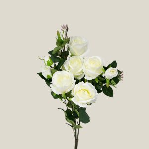 Mata rosa boton Blanco nieve 20628