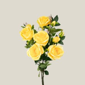 Mata rosa boton Amarillo brillante 20628