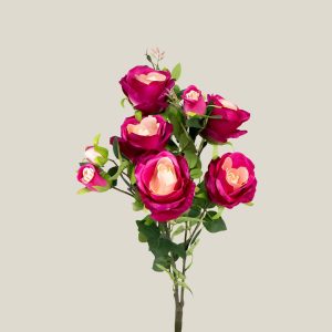 Mata rosa boton Magenta 20628