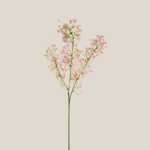 Vara gipso Rosa frances 20624