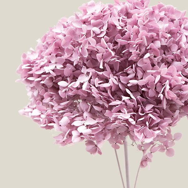 Hortensia preservada Lavanda vara 20737 - Image 2