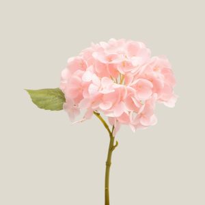 Hortensia x1 Rosa bebé vara 20762
