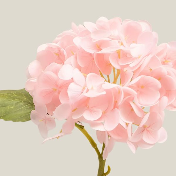 Hortensia x1 Rosa bebé vara 20762 - Image 2