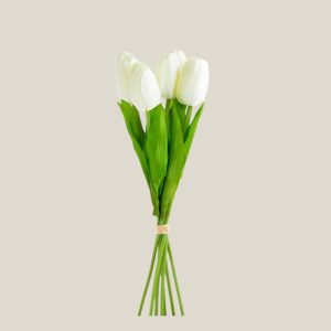 Tulipan x5 Blanco 19022