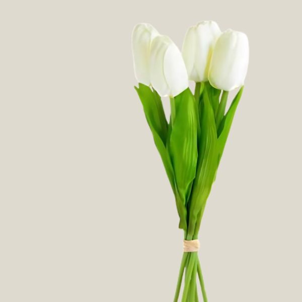 Tulipan x5 Blanco 19022 - Image 2