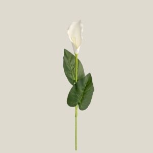 Cala x1 Blanco 20408