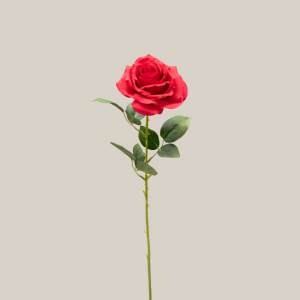 Vara rosa x1 y abierta Rosa fuego 20749