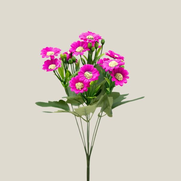 Ramo mini margarita x7 Fucsia 20752