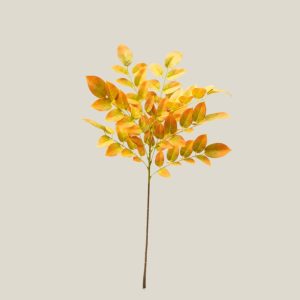 Hoja ficus Ambar 20756
