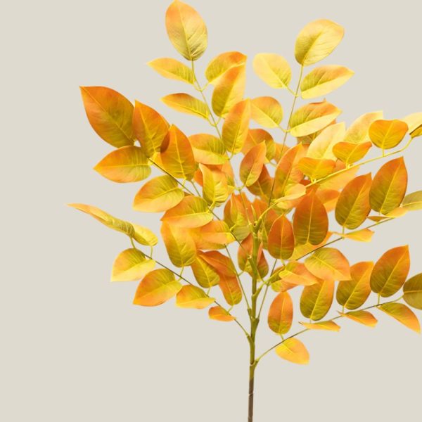 Hoja ficus Ambar 20756 - Image 2