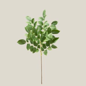 Hoja ficus Verde primavera 20756