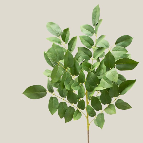 Hoja ficus Verde primavera 20756 - Image 2