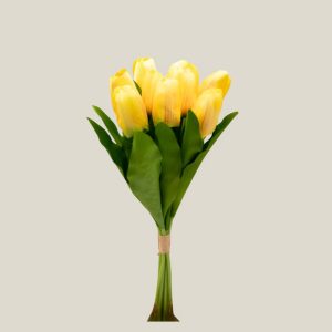 Tulipan x9 Amarillo azafrán 20758