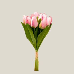 Tulipan x9 Rosa flamengo 20758
