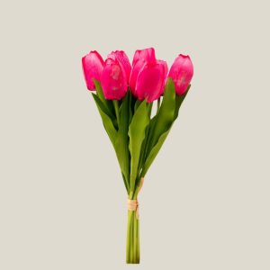 Tulipan x9 Ruby 20758