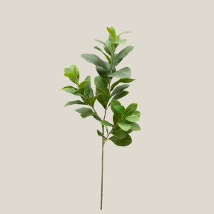 Vara rusco x3 Verde bosque 20759
