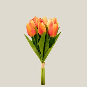 Tulipan x9 Naranja 20758