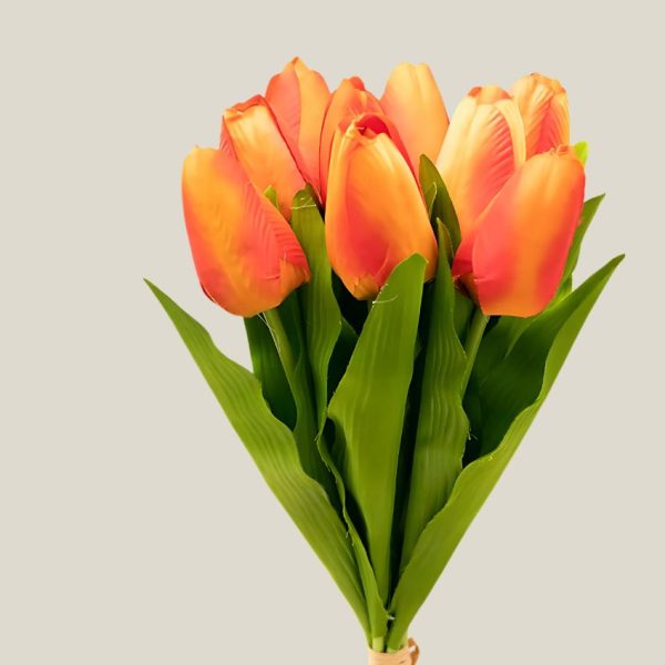 Tulipan x9 Naranja 20758 - Image 2