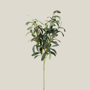 Vara Olivo verde oscuro 20803