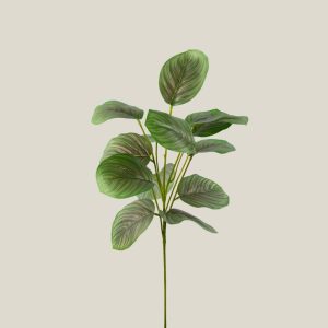 Mata hoja x7 verde rosa 20807