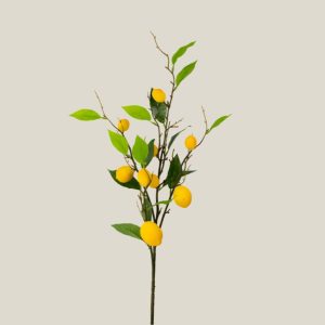 Vara follaje limón naranja limón 20809