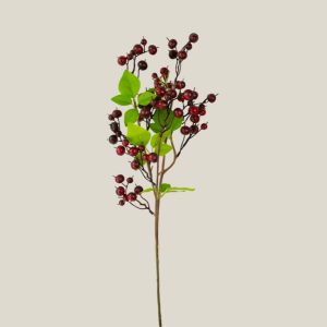 Varas de temporada rojo ruby 20810