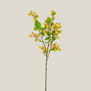 Varas de temporada verde amarillo 20810