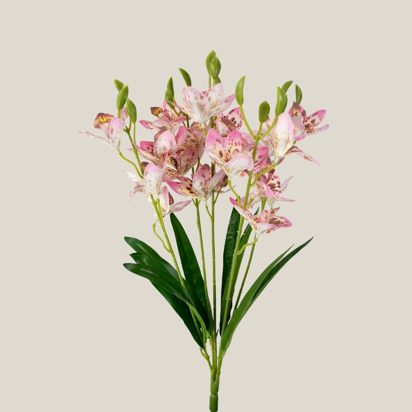Ramo orquidea rosa flamenco 20816