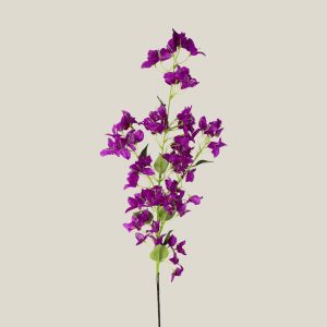 Vara buganvilia lila violin 20818