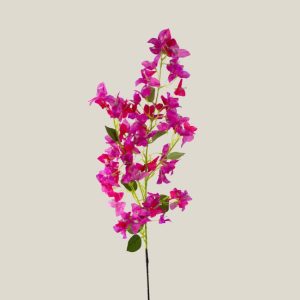 Vara buganvilia magenta 20818