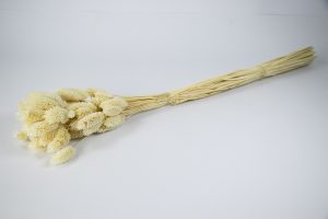 Espiga mini blanco nieve 20820