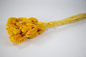 Espiga mini naranja 20820