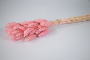 Espiga mini rosa francés 20820