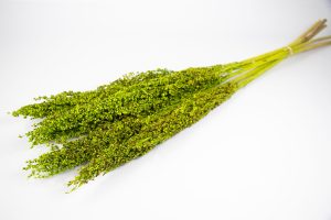 Zorgo preservado verde manzana 20821